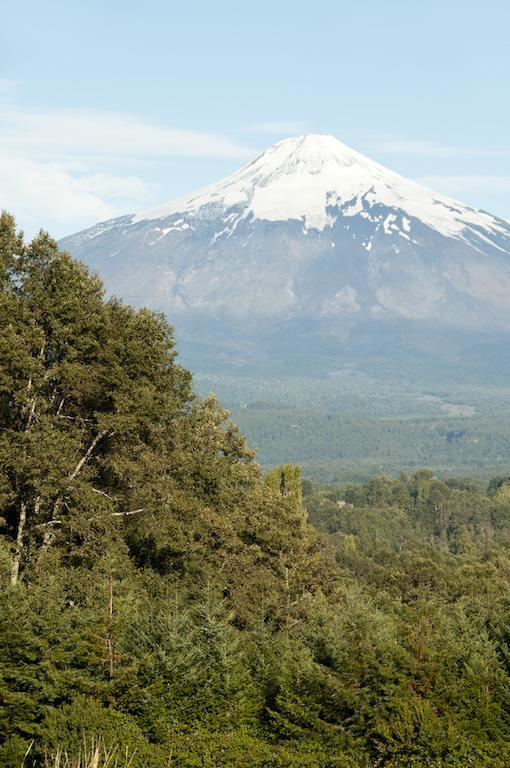 Cabanas Patagonia Lefun Pucón Eksteriør billede