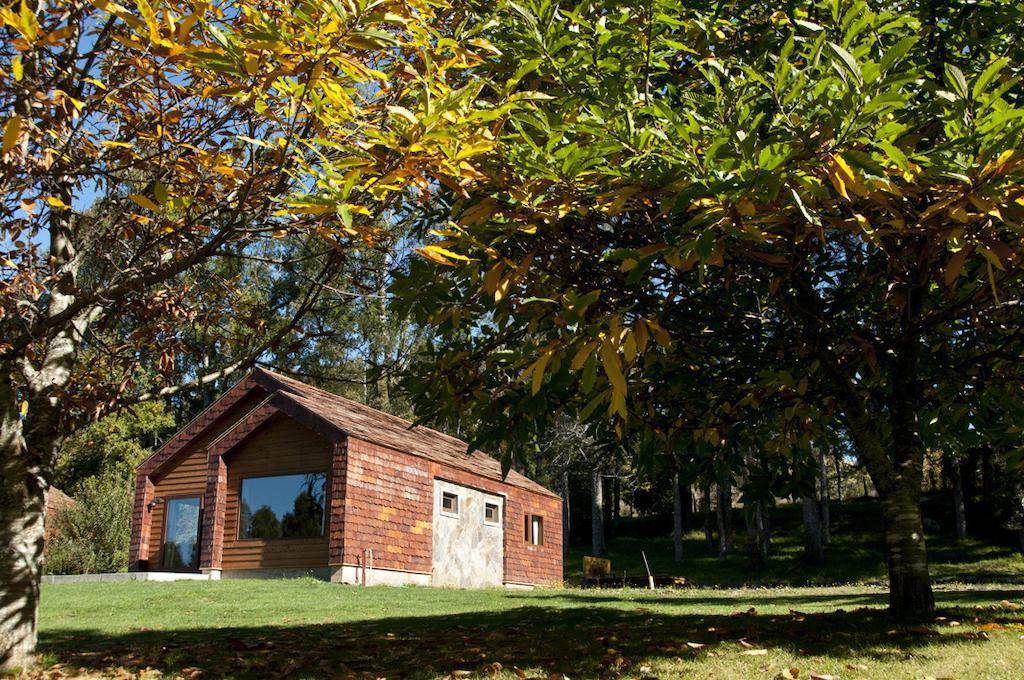 Cabanas Patagonia Lefun Pucón Eksteriør billede