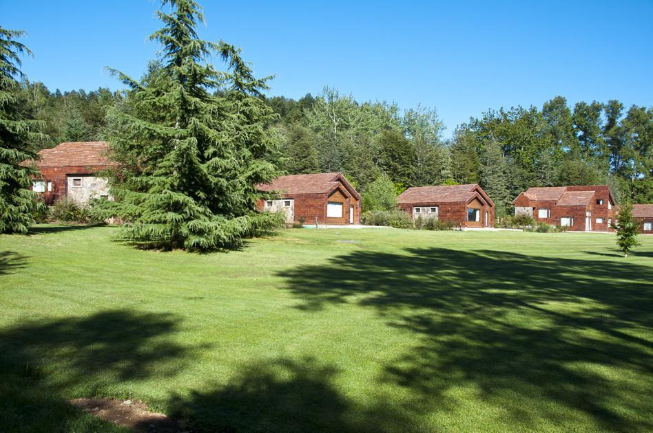 Cabanas Patagonia Lefun Pucón Eksteriør billede