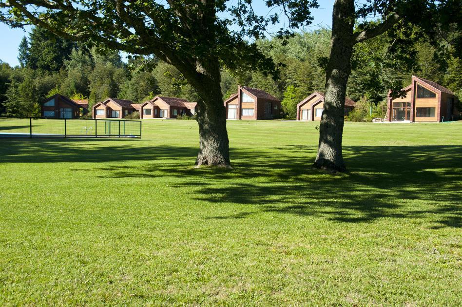 Cabanas Patagonia Lefun Pucón Eksteriør billede